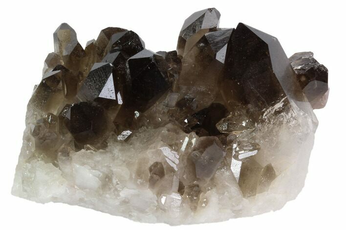 Dark Smoky Quartz Crystal Cluster - Brazil #84828